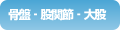 骨盤~股間節~大股
