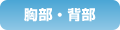 胸部・背部