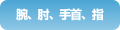 腕、膝、手首、指