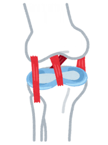 膝の捻挫 靭帯損傷なら 平塚市 かもめ整骨院